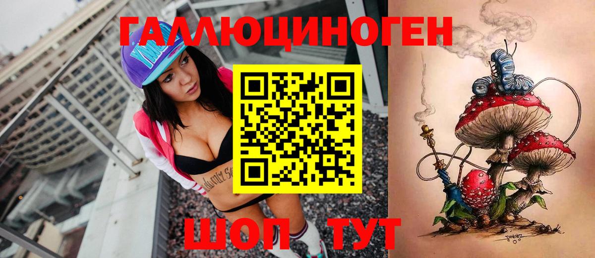 Междуреченск  Галлюциногенные грибы Cubensis  Вход с VPN 