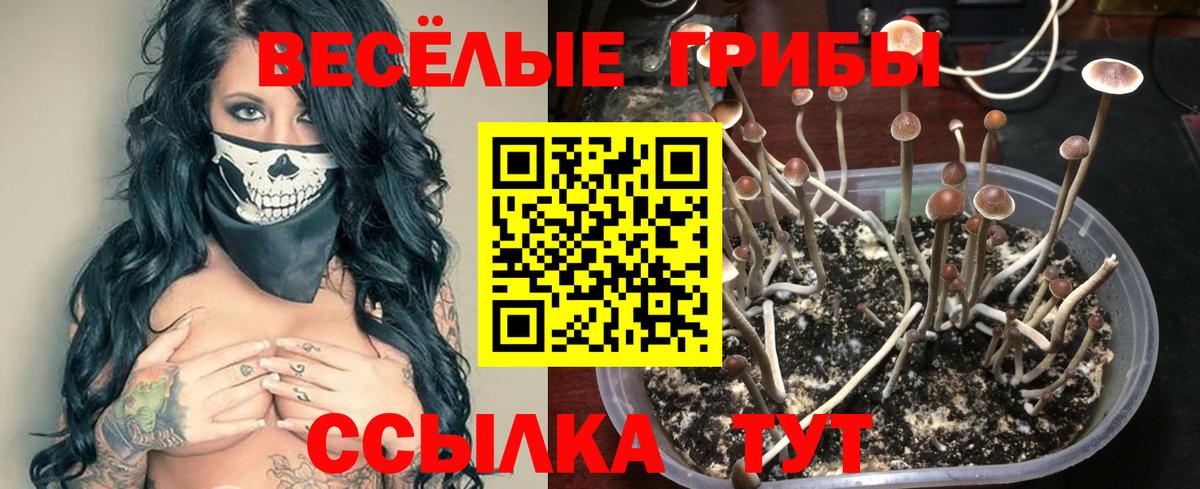Псилоцибиновые грибы MAGIC MUSHROOMS Междуреченск